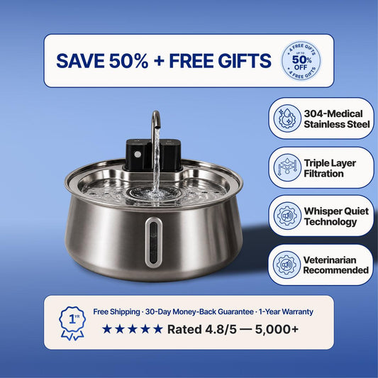 Origins™ Filtered Pet Fountain